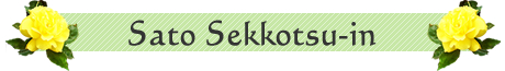 Sato sekkotsuin